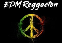 EDM Reggaeton // EDM Moombahton Drums & Melody Loops