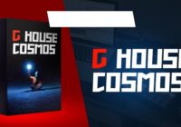 G House Cosmos // Alok, Dynoro Style Presets, Bass Loops & Drums