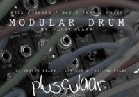 Plusculaar Modular Drum WAV