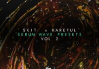 Skit x Kareful - Serum Wave Presets Vol.2