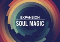 NI Soul Magic Expansion [WIN & MACOSX]
