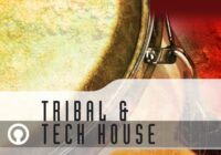 Tribal & Tech House Sample Pack (WAV)