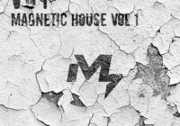 Sample Market VOY Magnetic House Vol.1 WAV