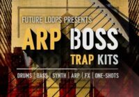 ARP Boss – Trap Kits WAV