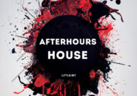 Little Bit Afterhours House WAV