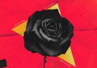 S1 And Wu10 Black Rose Sample Pack (Compositions Only) WAV