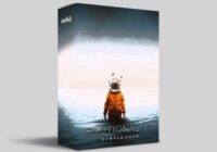 IanoBeatz Emotional Sample Pack Vol.11 WAV