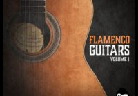 Vanilla Groove Studios – Flamenco Guitars Vol.1 WAV