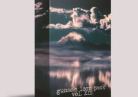 Gunso’s Loop Pack Vol. XII WAV