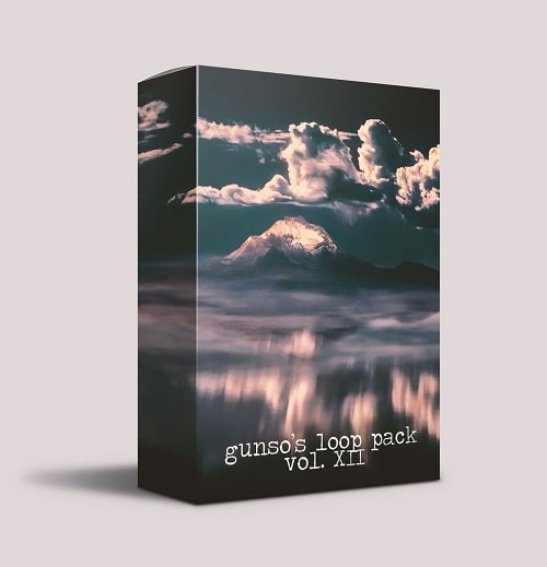 Gunso’s Loop Pack Vol. XII WAV