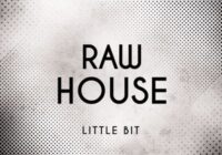 Little Bit Raw House WAV