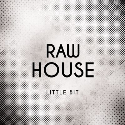 Little Bit Raw House WAV