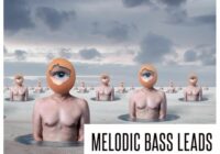 Concept Samples Melodic Bass Leads WAV