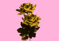 SM Melodic Trap Aesthetics WAV FXP