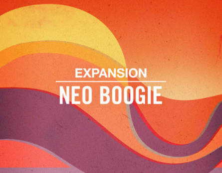 NI Neo Boogie Expansion MULTIFORMAT