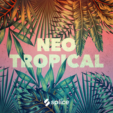 Splice Originals Neo Tropical WAV FXP