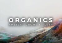 Organics – Ambient Drums & Foley WAV MIDI