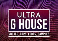 Ultra G-House (Samplepack + Serum Presets)