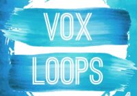 Roundel Sounds Vox Loops Vol.1 WAV