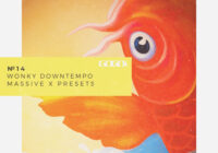 GOGOi Wonky Downtempo 2 (Massive X Presets)