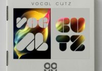 99 Patches 200 Future Vocal Cutz WAV