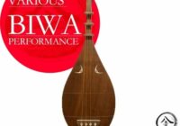 Hachion Sound BIWA WAV