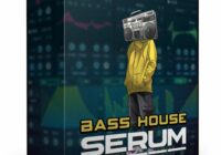 Incognet Samples Serum Bass House Presets