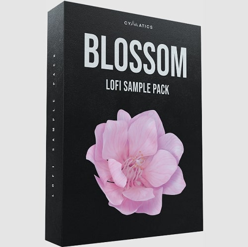 Cymatics Blossom: Lofi Sample Pack WAV