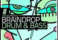 Braindrop – Drum & Bass Sample Pack WAV