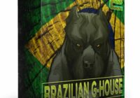 Incognet Samples Brazilian G House Vol.2 WAV MIDI