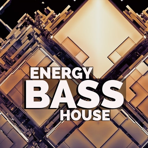 Energy Bass House Samplepack WAV