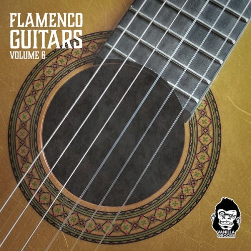 Vanilla Groove Studios Flamenco Guitars Vol.6 WAV