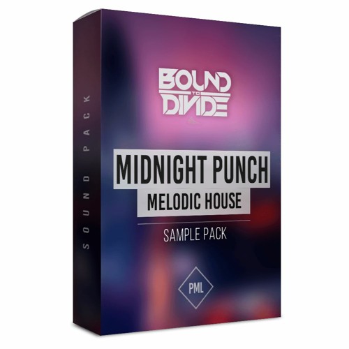 PML Midnight Punch – Drums for Melodic House + Techno WAV