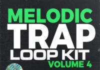 Canary Julz Melodic Trap Volume 4 WAV