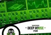 Shocking Deep House For Serum 4 WAV FXP