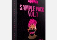 SPYRO SAMPLE PACK VOL.1 (Samples Only) WAV