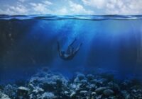 Touch Loops Subtropical Rhythms WAV