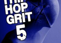 Bunker 8 Digital Labs Trip Hop Grit 5 WAV MIDI