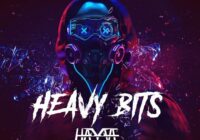 Hayve – Heavy Bits WAV FXP