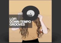 Samplestar Lofi Downtempo Grooves WAV MIDI