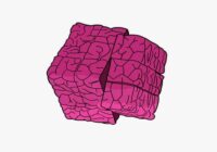 IndustryKits Mind Games (Stem Pack) WAV MIDI