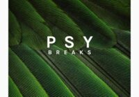 Zenhiser Psy Breaks WAV MIDI