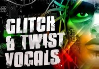 Sounds To Sample Glitch & Twist Vocals WAV