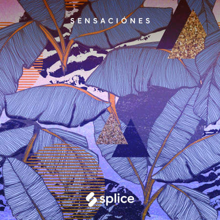 Splice Originals Sensaciones – Latin RnB WAV