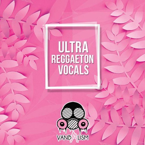 Ultra Reggaeton Vocals WAV