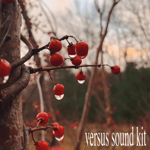 Versus Beats Versus Sound Kit WAV