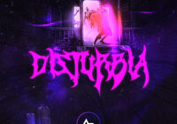 ADSR Sounds Disturbia WAV