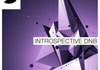 Samplephonics – Introspective DnB MULTIFORMAT
