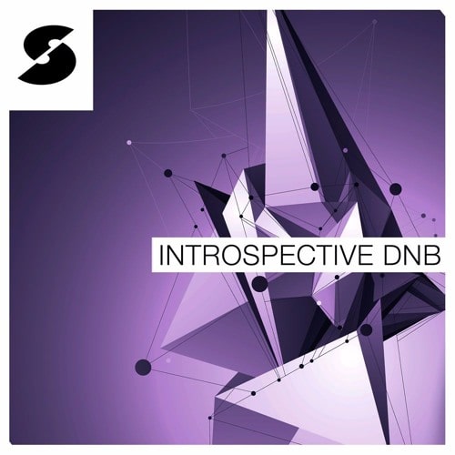 Samplephonics – Introspective DnB MULTIFORMAT