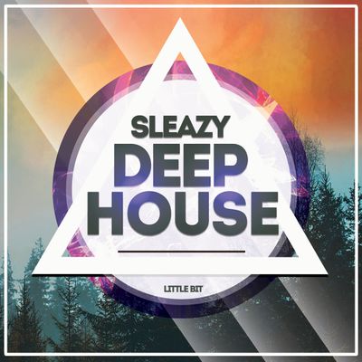 Little Bit Sleazy Deep House WAV MIDI FXB